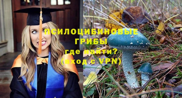 винт Абдулино