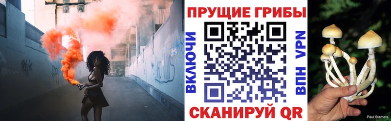 Псилоцибиновые грибы ЛСД  Лысьва 